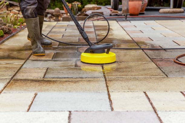 Best Dumpster Area Cleaning  in Velva, ND