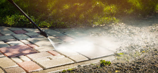 Best Solar Panel Cleaning  in Velva, ND